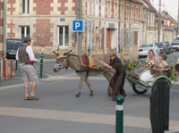 Mariage champtre ane